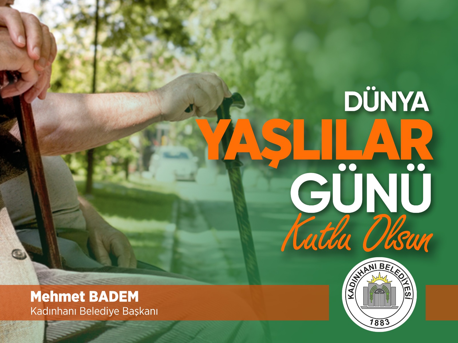 DÜNYA YAŞLILAR GÜNÜ KUTLU OLSUN 